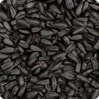 Black Seed Oil