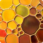 Oregano Oil Extract