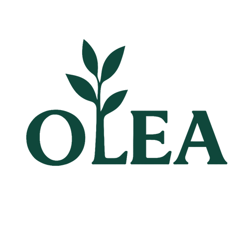 Olea Aus