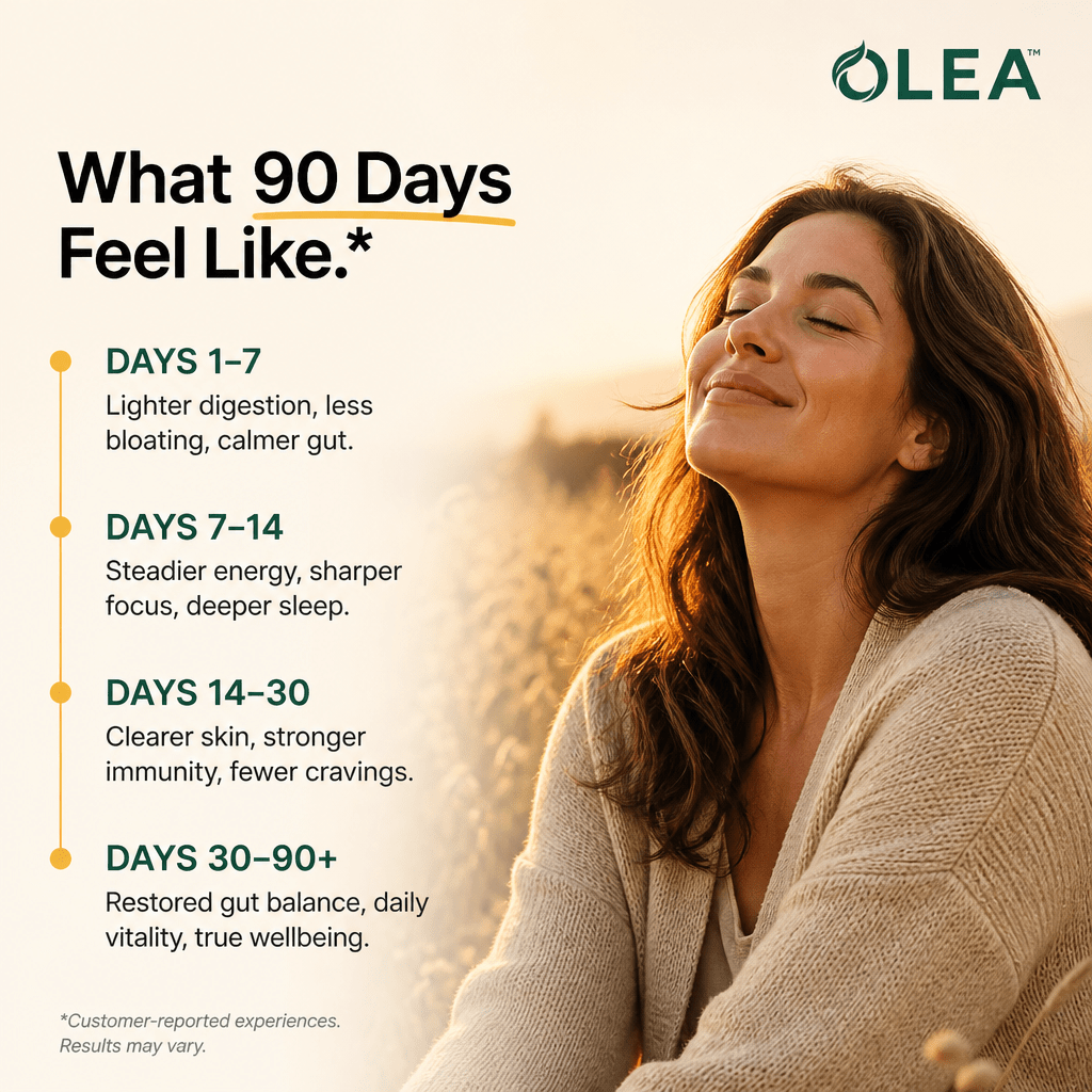 Olea | Blackwalnut+ - Olea WW