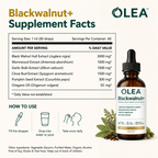 Olea | Blackwalnut+ - Olea WW