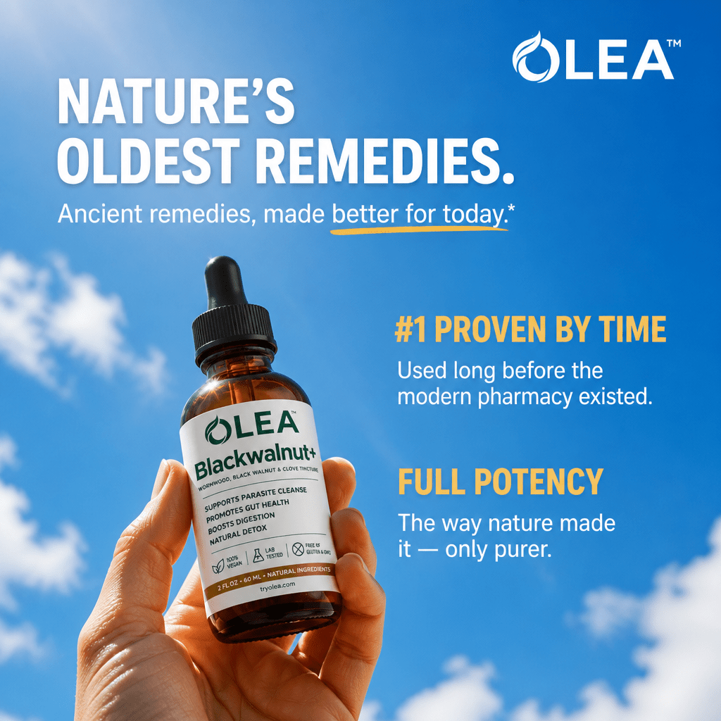 Olea | Blackwalnut+ - Olea WW