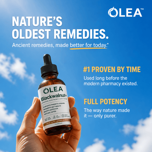 Olea | Blackwalnut+ - Olea WW