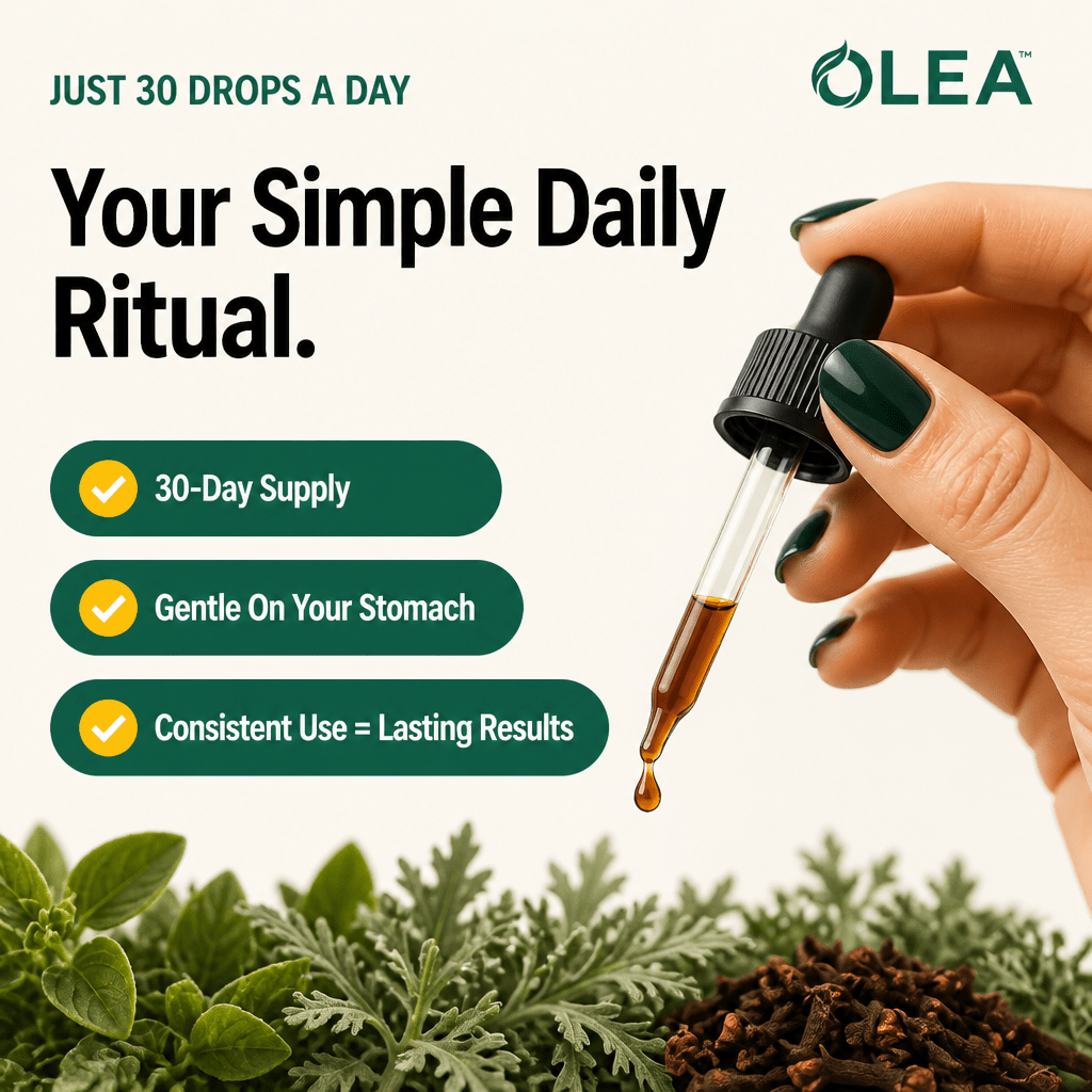 Olea | Blackwalnut+ - Olea WW